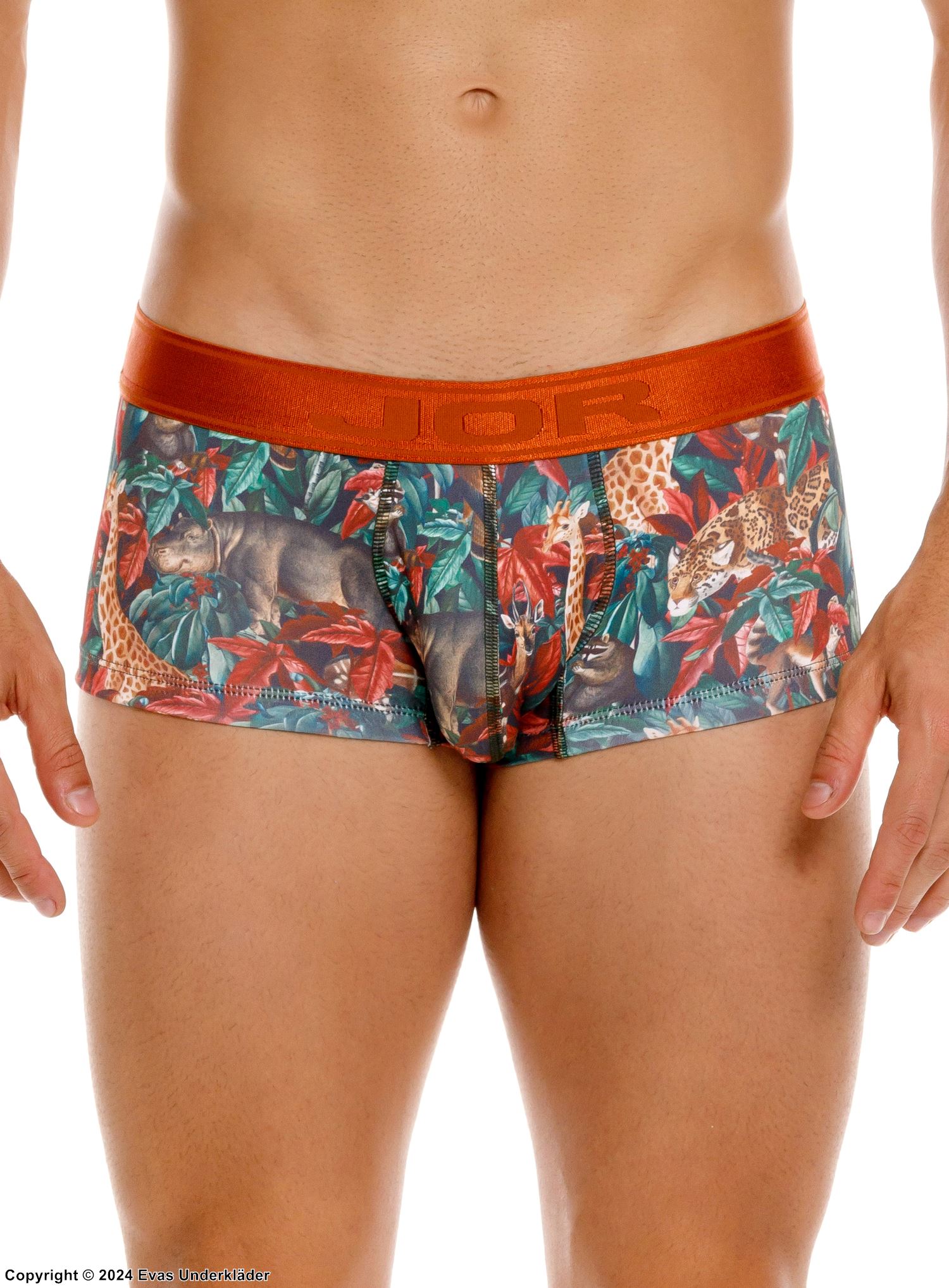 Men's boxer briefs, jungle